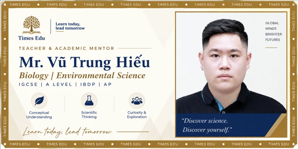 Mr Vũ Trung Hiếu