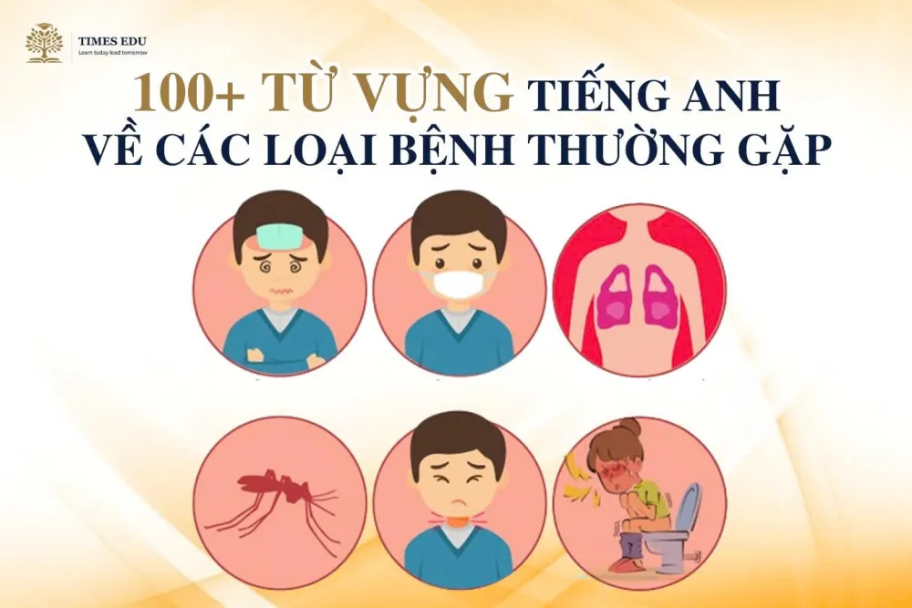 200+ Từ Vựng Tiếng Anh Về Các Loại Bệnh: Đầy Đủ + Phát Âm 2026